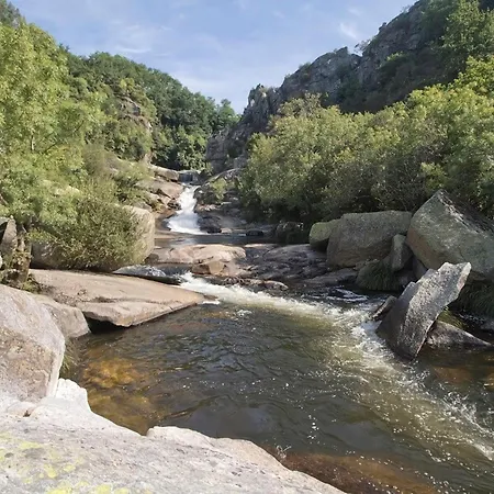 Os Castanos Nyaraló *